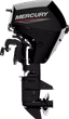 FourStroke 15
